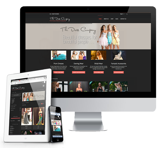 TWINS TIGERS LLC  , Website Design & Hosting Company